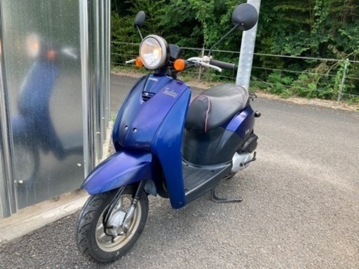 ⭐︎人気のトゥデイです⭐︎ホンダ⭐︎原付⭐︎50cc⭐︎丸目ライト⭐︎4サイクルエンジン⭐︎