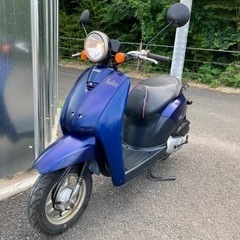 ⭐︎人気のトゥデイです⭐︎ホンダ⭐︎原付⭐︎50cc⭐︎丸目ライ...