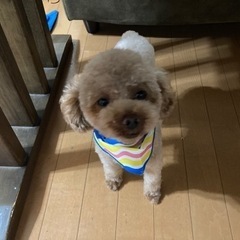 日払い！週払いオッケー！