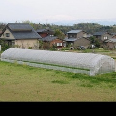 ビニールハウス貸して頂きたいです。