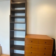 天井つっぱり書棚　シェルフ