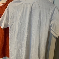 AZUL by moussy センスオブプレイス Tシャツの画像