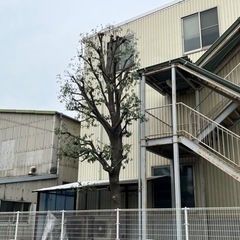 植木屋仲間募集 - 相模原市