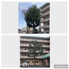 植木屋仲間募集 - その他