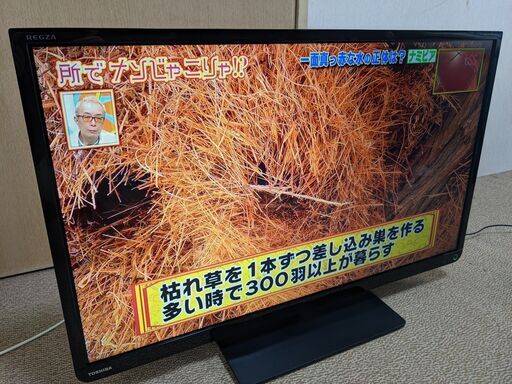 TOSHIBA　レグザ　32型　液晶テレビ　32S10　東芝　REGZA