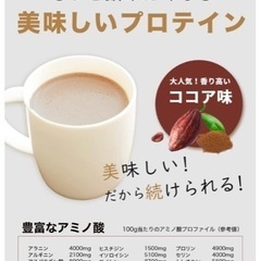 QREBO ホエイプロテイン 1kg 計量スプーン入り プロテイン ココア 味 飲みやすい甘さの画像