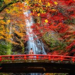既婚者限定サークル！気軽なお友達作りに！