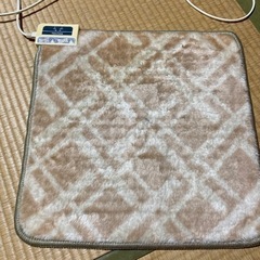 7月18日まで　ホットカーペット★座布団サイズ