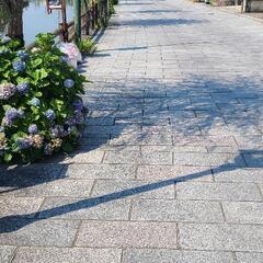 蔵の街並み散歩🚶 - 土浦市