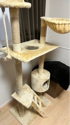 キャットタワー 早い者勝ちです❗️
