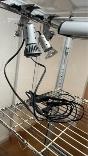 【爬虫類用品大量おまけ付き】ピカコーポレイションガラス温室