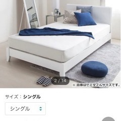 シングルペット