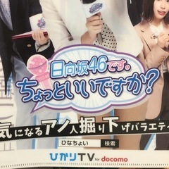 日向坂46 クリアファイルの画像