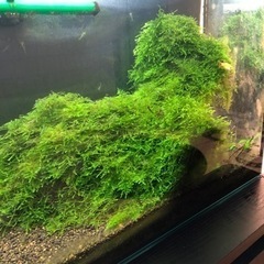 アクアリウム　フルセット