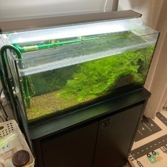 アクアリウム　フルセットの画像