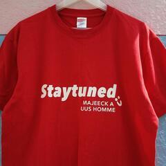 熊本　メンズ　Tシャツ　L　綿100%の画像