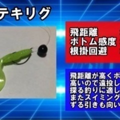 ロックフィッシュを基本とします！ - 札幌市