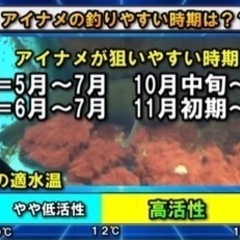 ロックフィッシュを基本とします！ - その他
