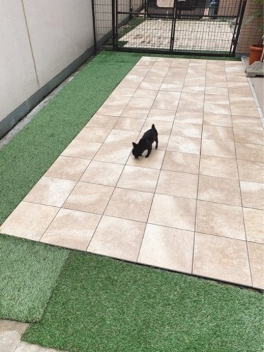 ジョイント式 タイル ベランダ 庭 ガーデニング テラス DIY