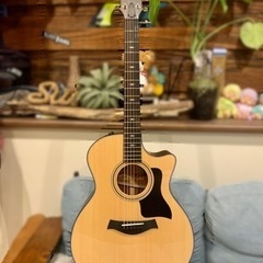 最終値下げ！Taylor 314ce V-Class 未使用に近い　エレアコ　ハードケース付きの画像
