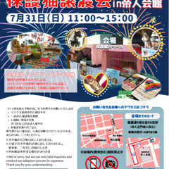 第２１回保護猫譲渡会in帝人会館⚠️中止⚠️