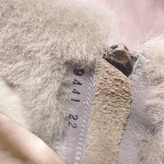 H1083 POOLSIDE プールサイド　グレー　22 ショートブーツ ファーの画像