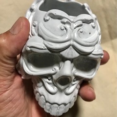 ガイコツくん「白」