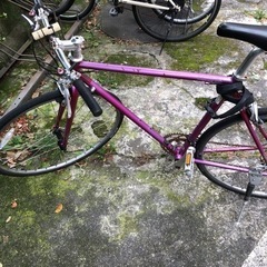 クロスバイク シェファードアイアン