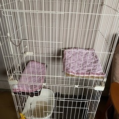 キャットケージ　　猫ゲージ　トイレ　　水飲み
