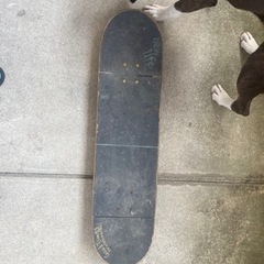 スケボー　スケートボードの画像