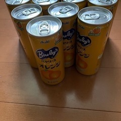 バヤリースオレンジ13本