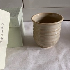 赤膚焼 大塩玉泉 湯呑み