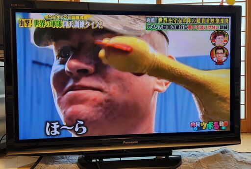 Panasonic 46型　ハイビジョンプラズマテレビ