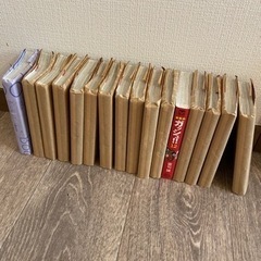 ガッシュベル　全巻　文庫版