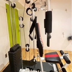 iRotec マルチホームジムDX 150ポンドの画像