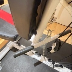 iRotec マルチホームジムDX 150ポンドの画像