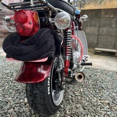 シャリーの画像
