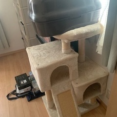 キャットタワーとペットトイレ