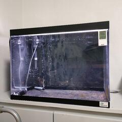 早い者勝ちアクリル水槽、水槽セット60×45×45