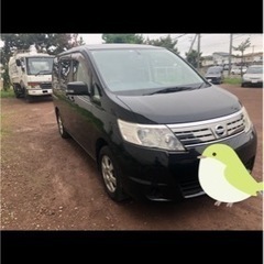 日産　セレナ　即戦力！車検あり　値下げ