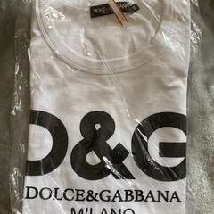 ドルガバ　Tシャツ　レディース