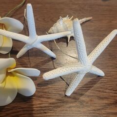 結婚式で使用したもののお譲りの画像