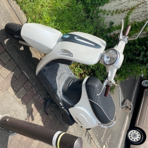 お洒落なキムコ