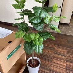 観葉植物　造花③の画像