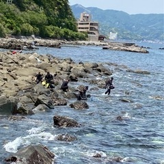 #マリンスポーツ#素潜り#銛メンズ#銛ガール#磯遊び#魚突き#神奈川#静岡#千葉 - メンバー募集