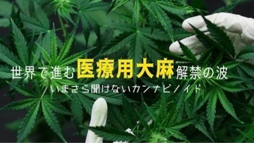 有名アーティストが通うLAのショップから直輸入！！