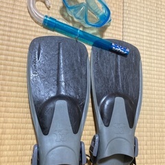 シュノーケリングの画像