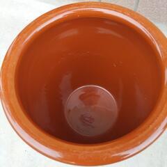 カメ、壺   中型 メダカさんの画像