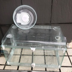ハムスターのお家