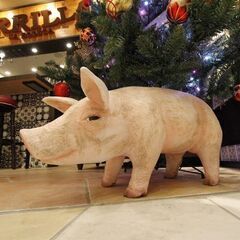 LA BODEGA PARRILLA《一流サービスマンを目指せる♪》15周年のスペインバルで安心＆安定◎即戦力大歓迎★次期店長候補・ホールSTAFFの画像